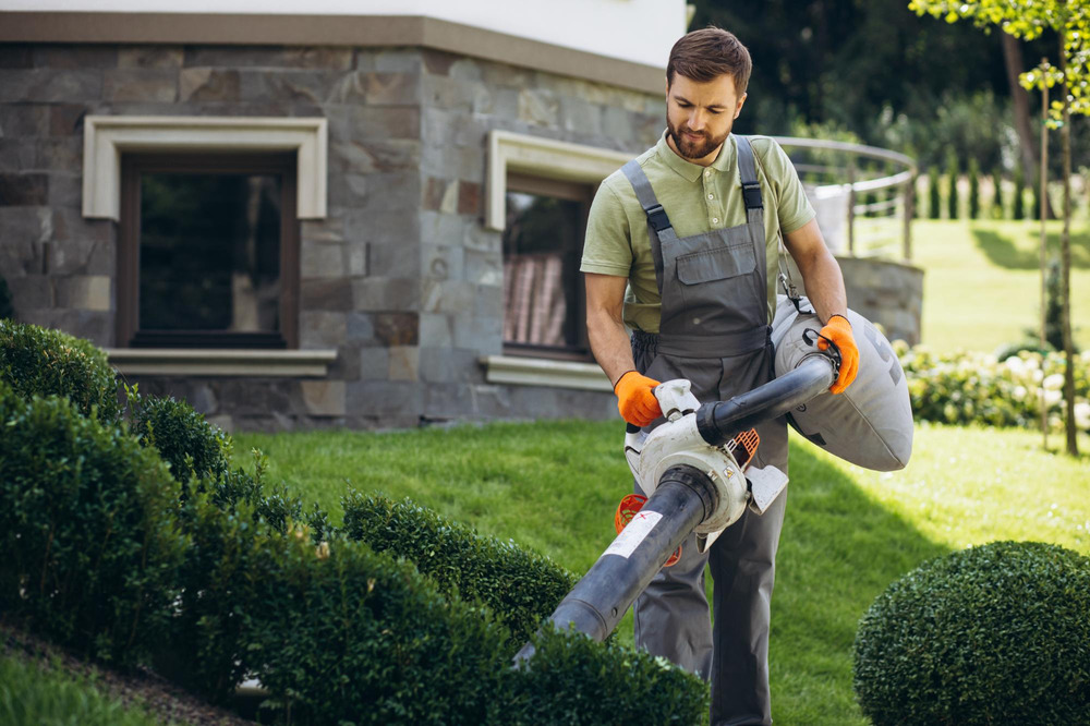 Air Blower for Yard Cleaning