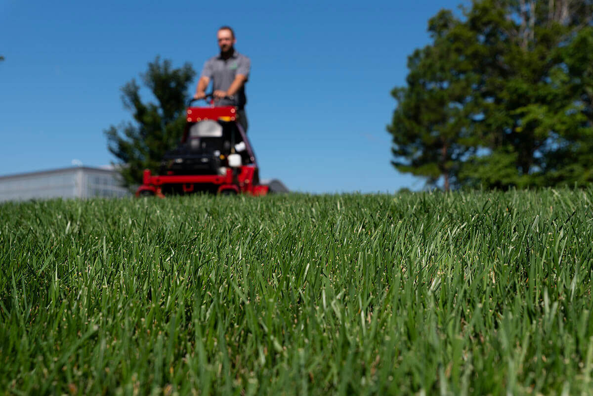 lawn mowing2